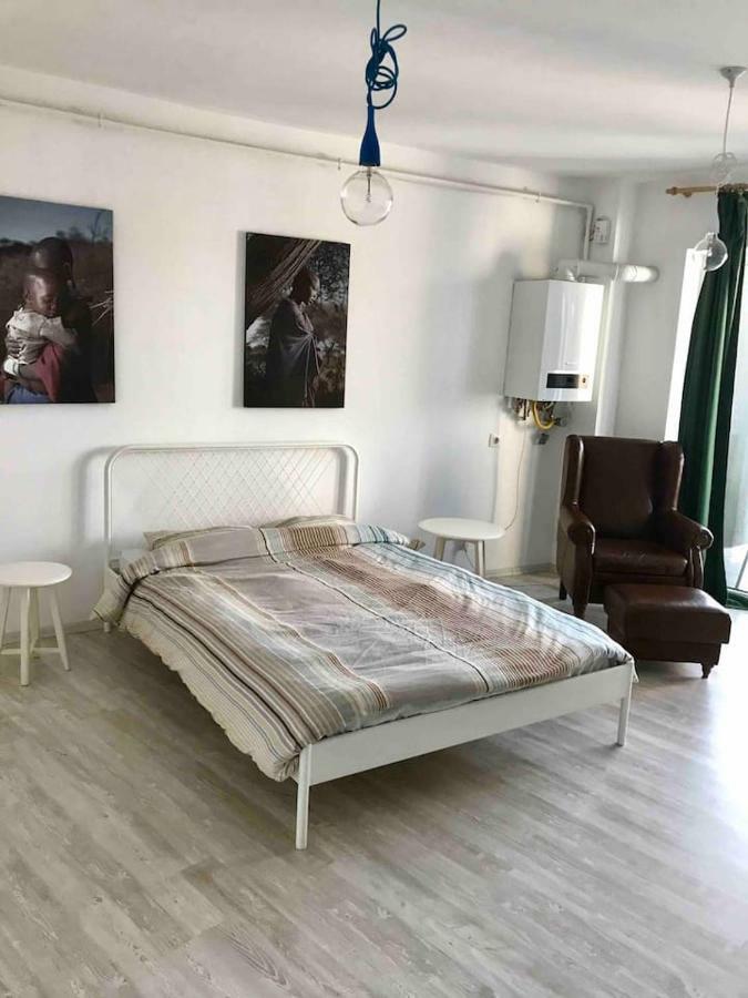 Beautiful Studio Near The Center Of Cluj ภายนอก รูปภาพ